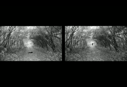Reflection, Preview Version, Digital Video,2012